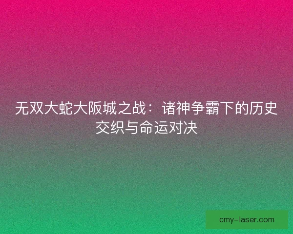 无双大蛇大阪城之战：诸神争霸下的历史交织与命运对决