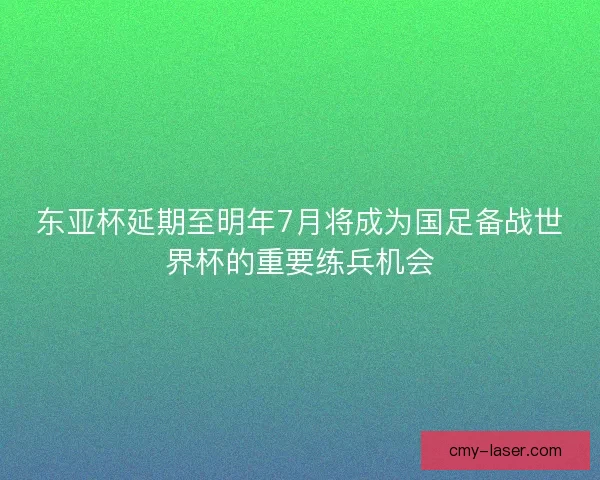 东亚杯延期至明年7月将成为国足备战世界杯的重要练兵机会